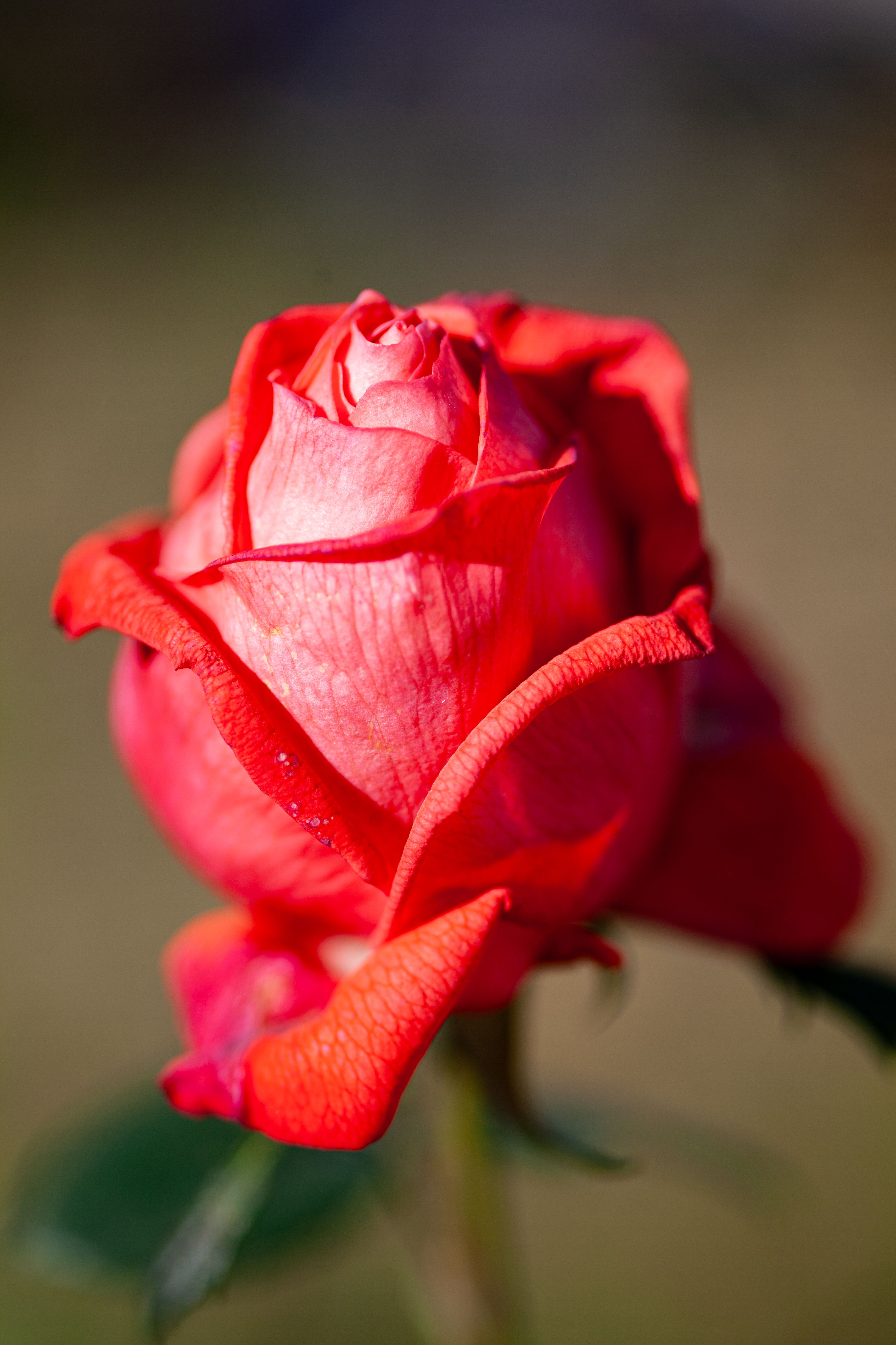 Explore ClickASnap Image
