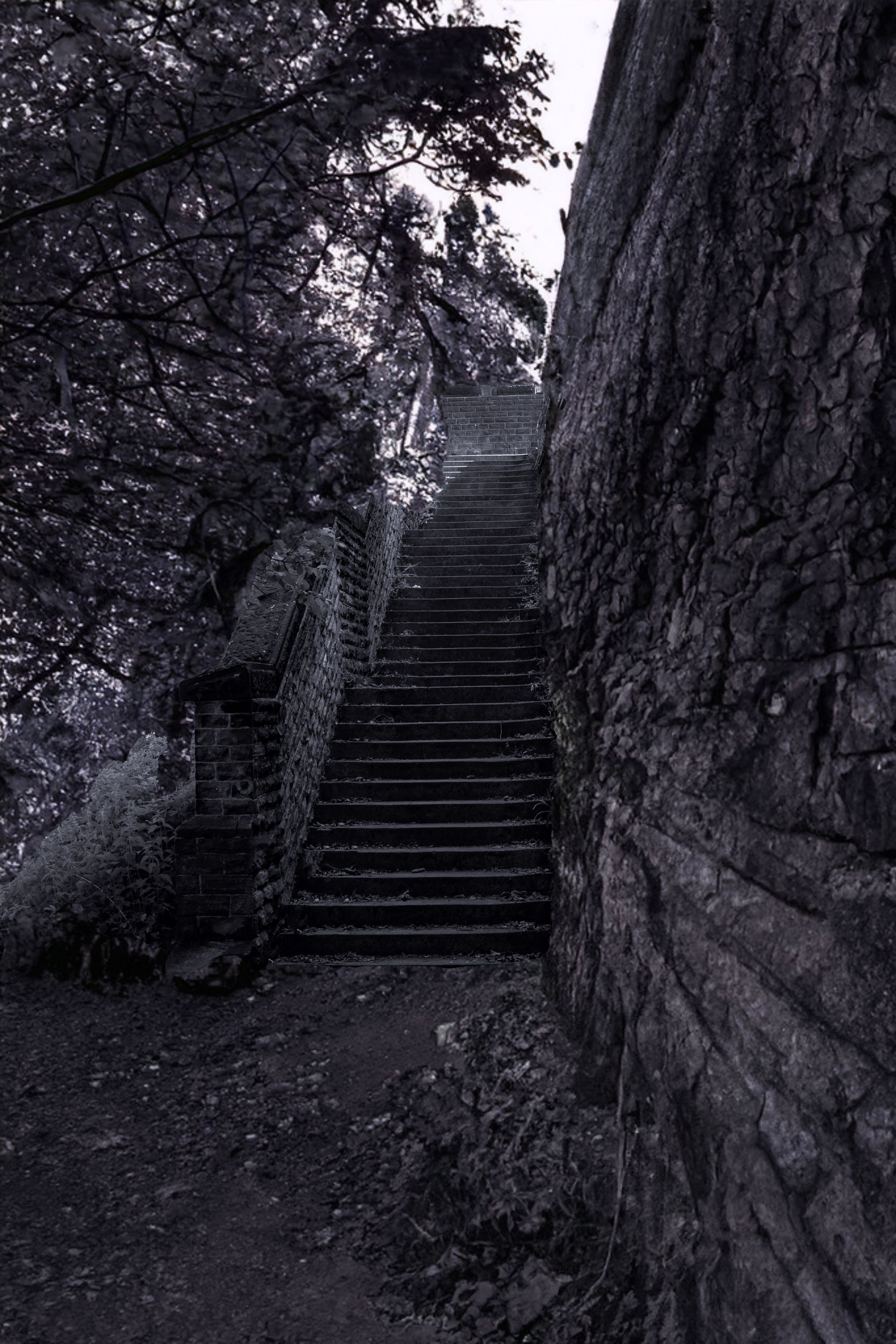 Explore ClickASnap Image