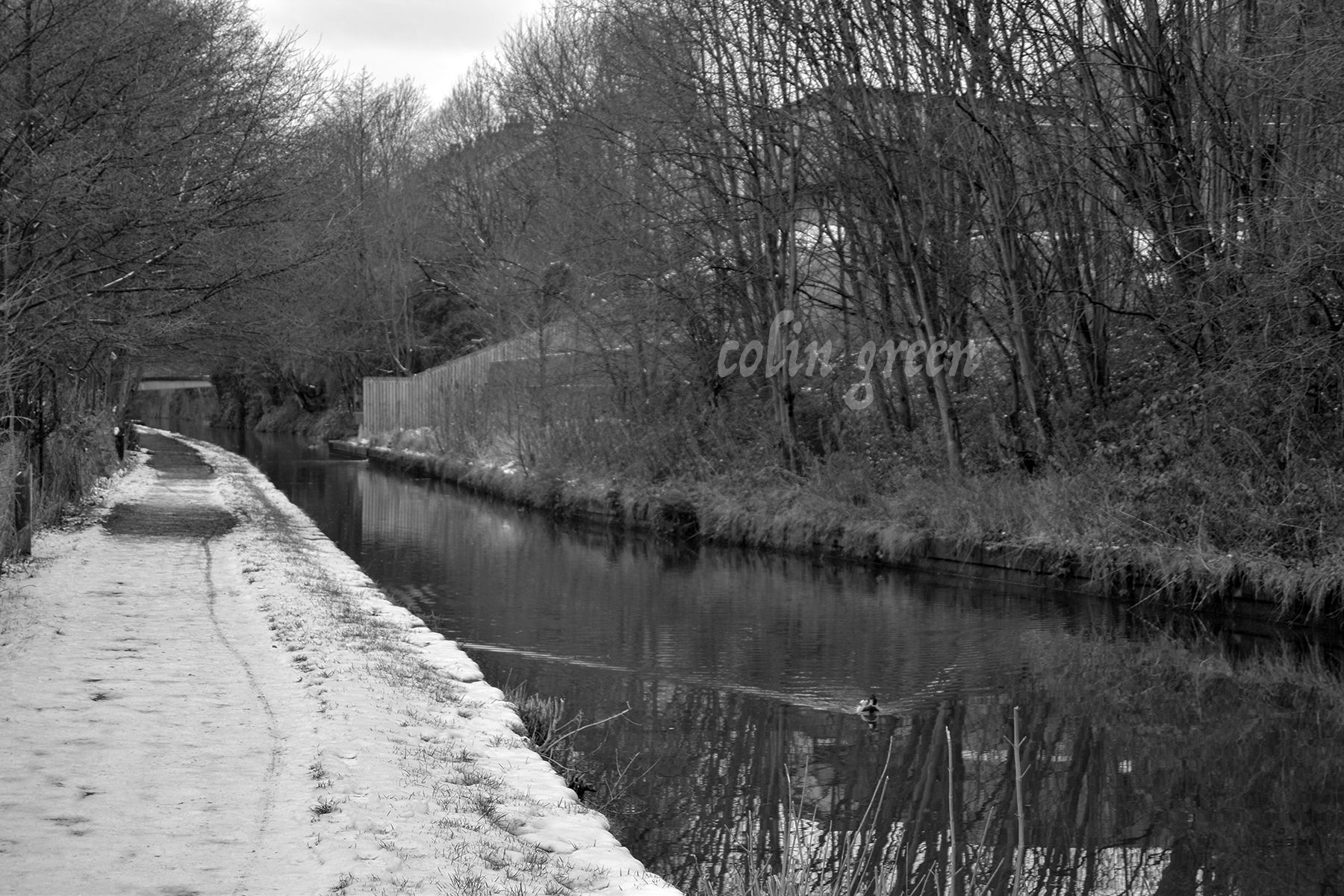 A black and white Image of the Calder and Hebble Navigation Canal