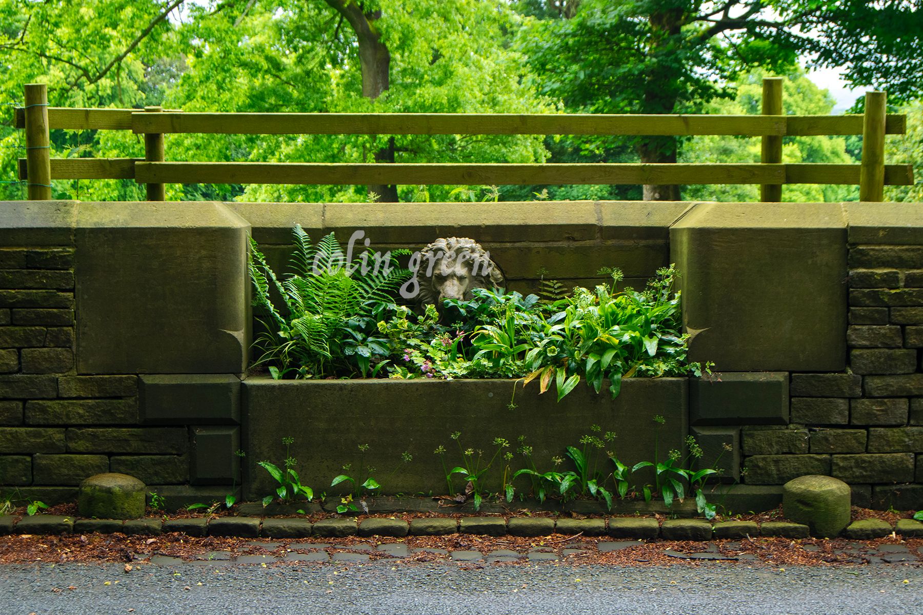 A stone statue of a lion’s head in a planter, next to a stone wall with a wooden fence in the background.