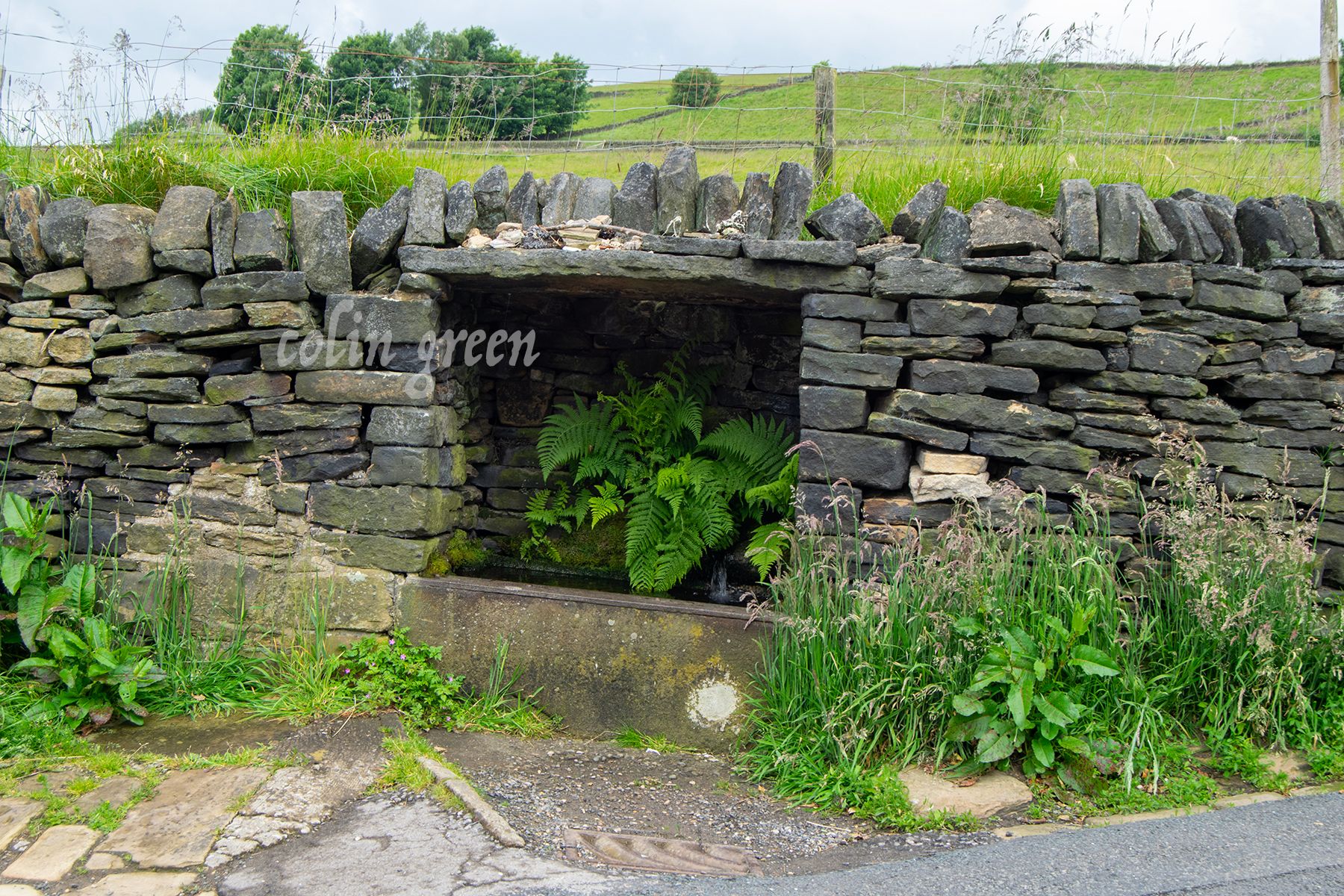 A weathered stone trough with a fern growing out of it, set into a stone wall.