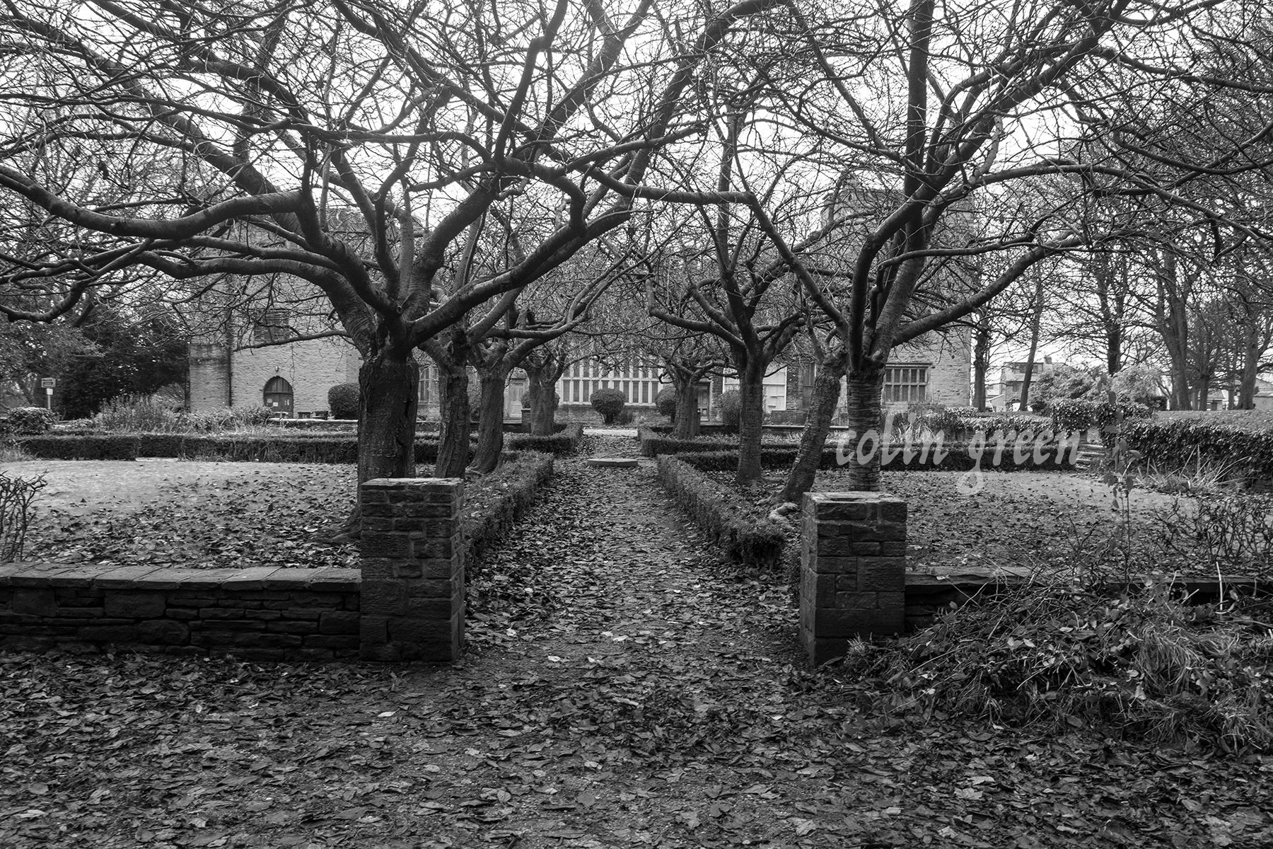 A sprawling green lawn stretches out before Bolling Hall, framed by mature trees and manicured hedges. The lawn is dotted with benches and offers a tranquil setting, perfect for a leisurely stroll or a peaceful picnic.