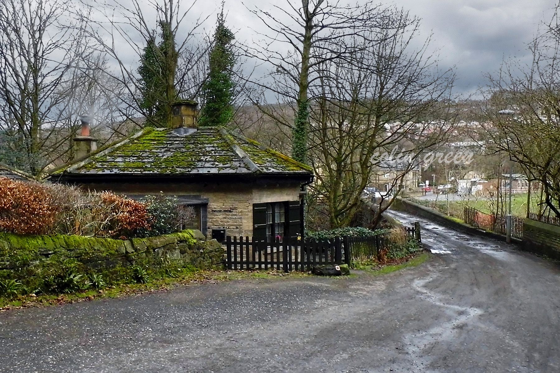 House and bridge on the edge of a winter woodland