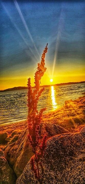 Explore ClickASnap Image