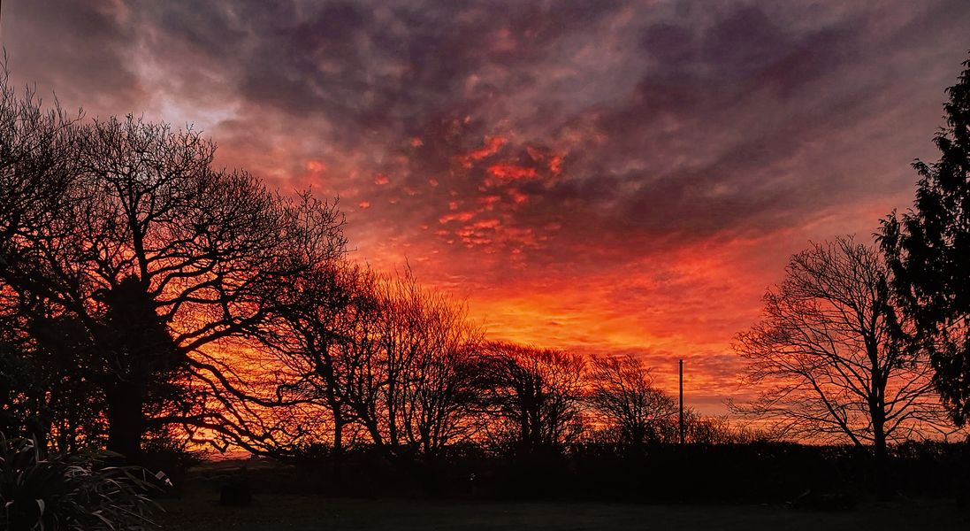 FIERY WINTER SUNRISE AND TREE SILHOUETTES DEVON