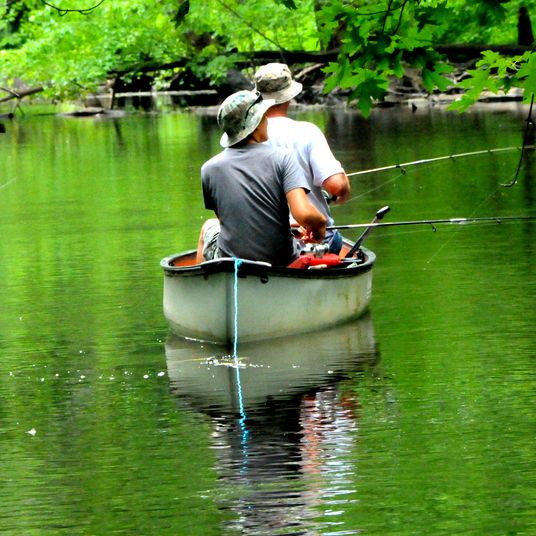 fish are biting