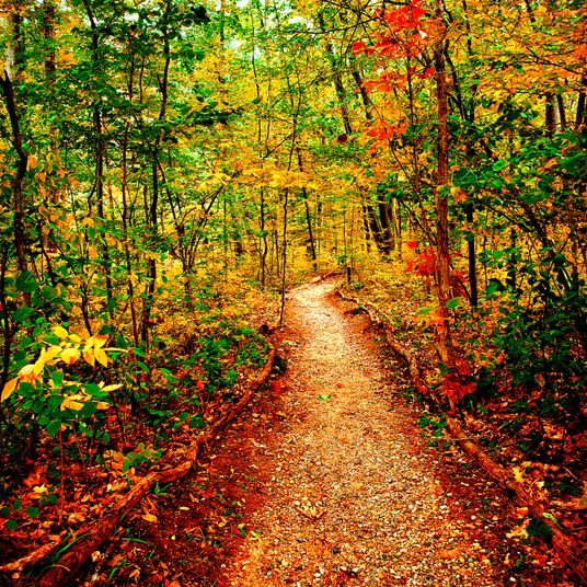 a lovely autumn day