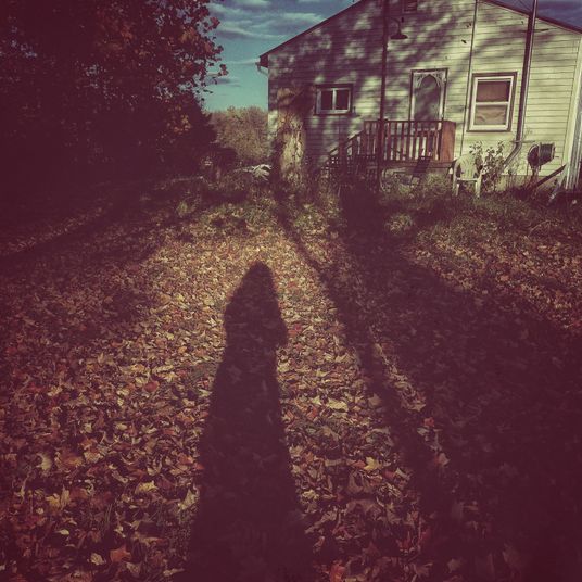 autumn evening selfie shadow