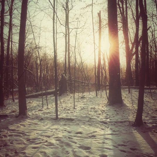 snowy november morning