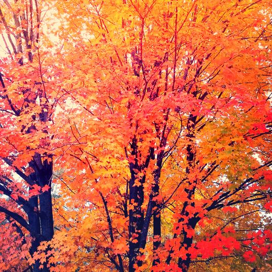 when autumn comes to town