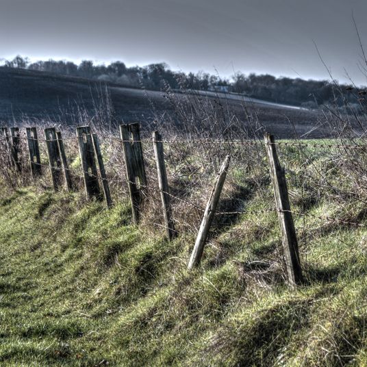 The Fence