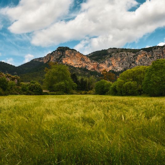 Puigpunyent Valley and Cliffs, Mallorca