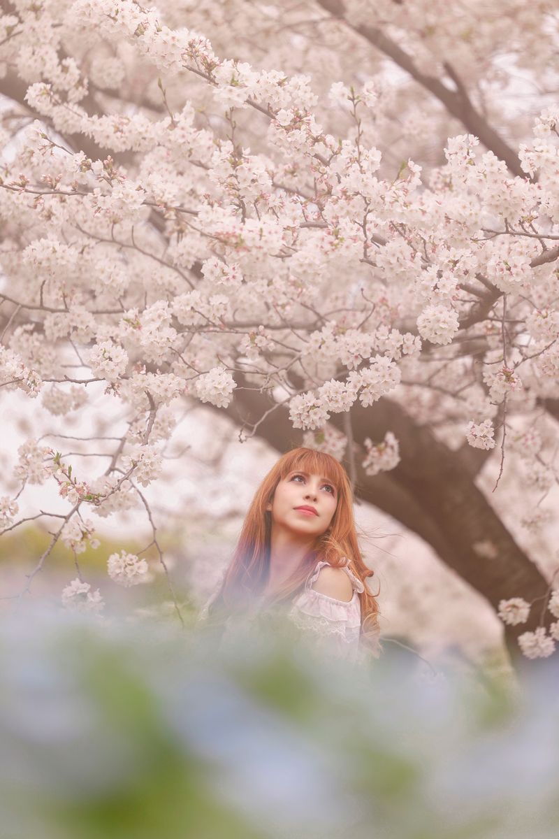 Blossoms and Lace: A Springtime Daydream