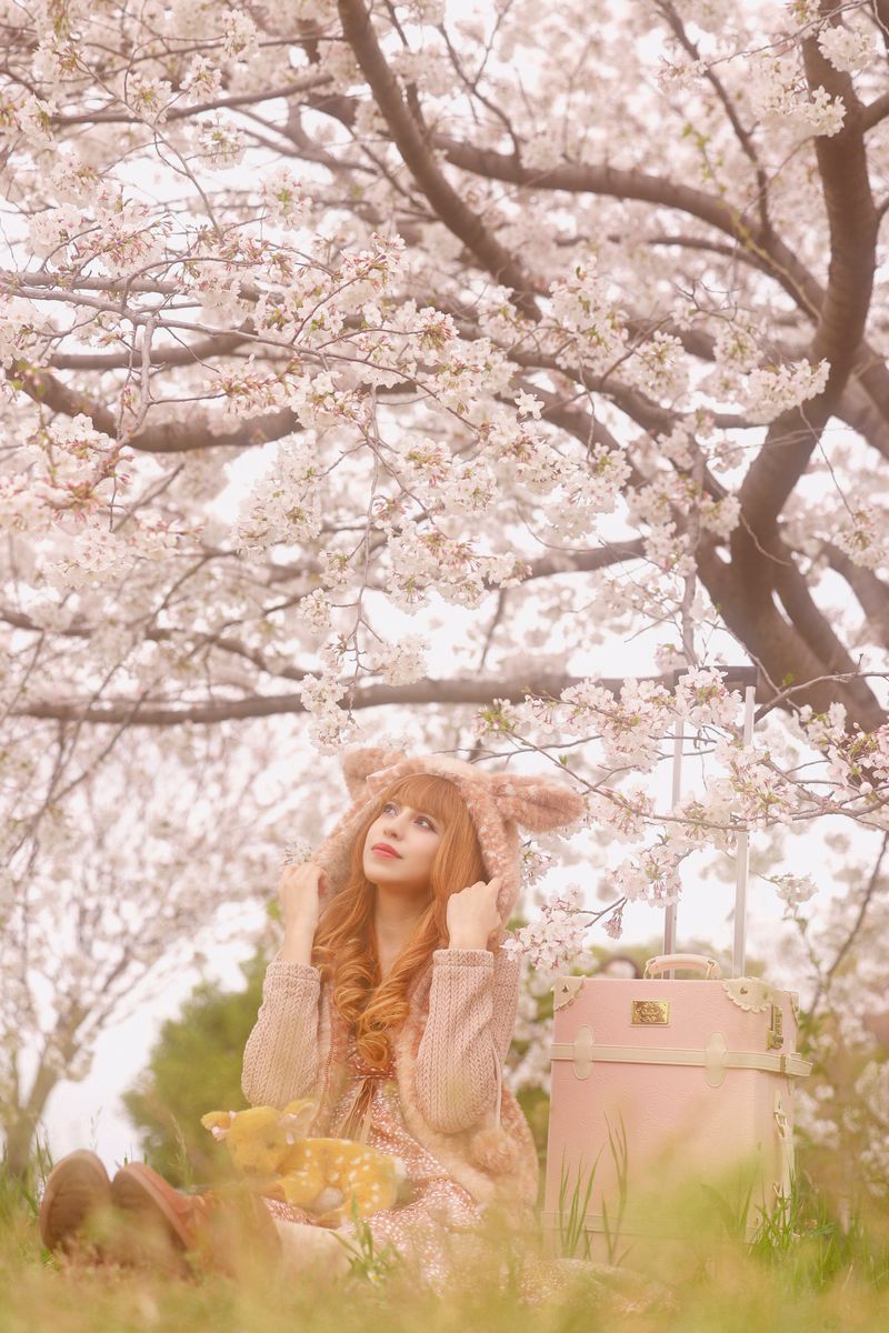 Blossoms and Lace: A Springtime Daydream