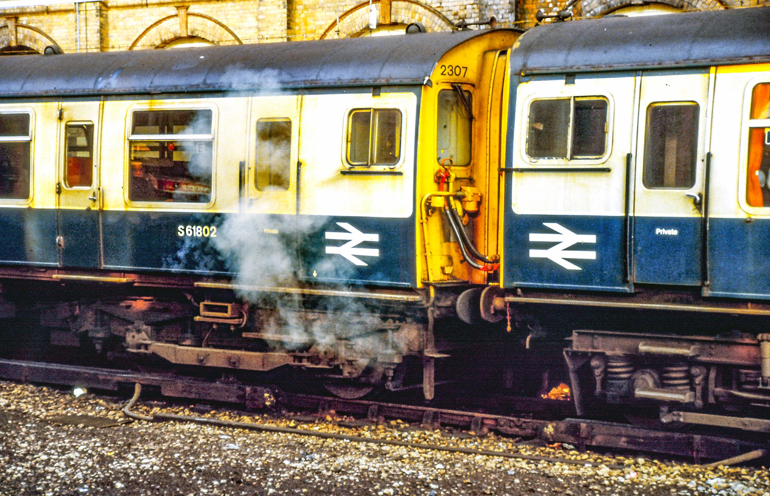 EMU 4CIG by IPHPhotography | Clickasnap