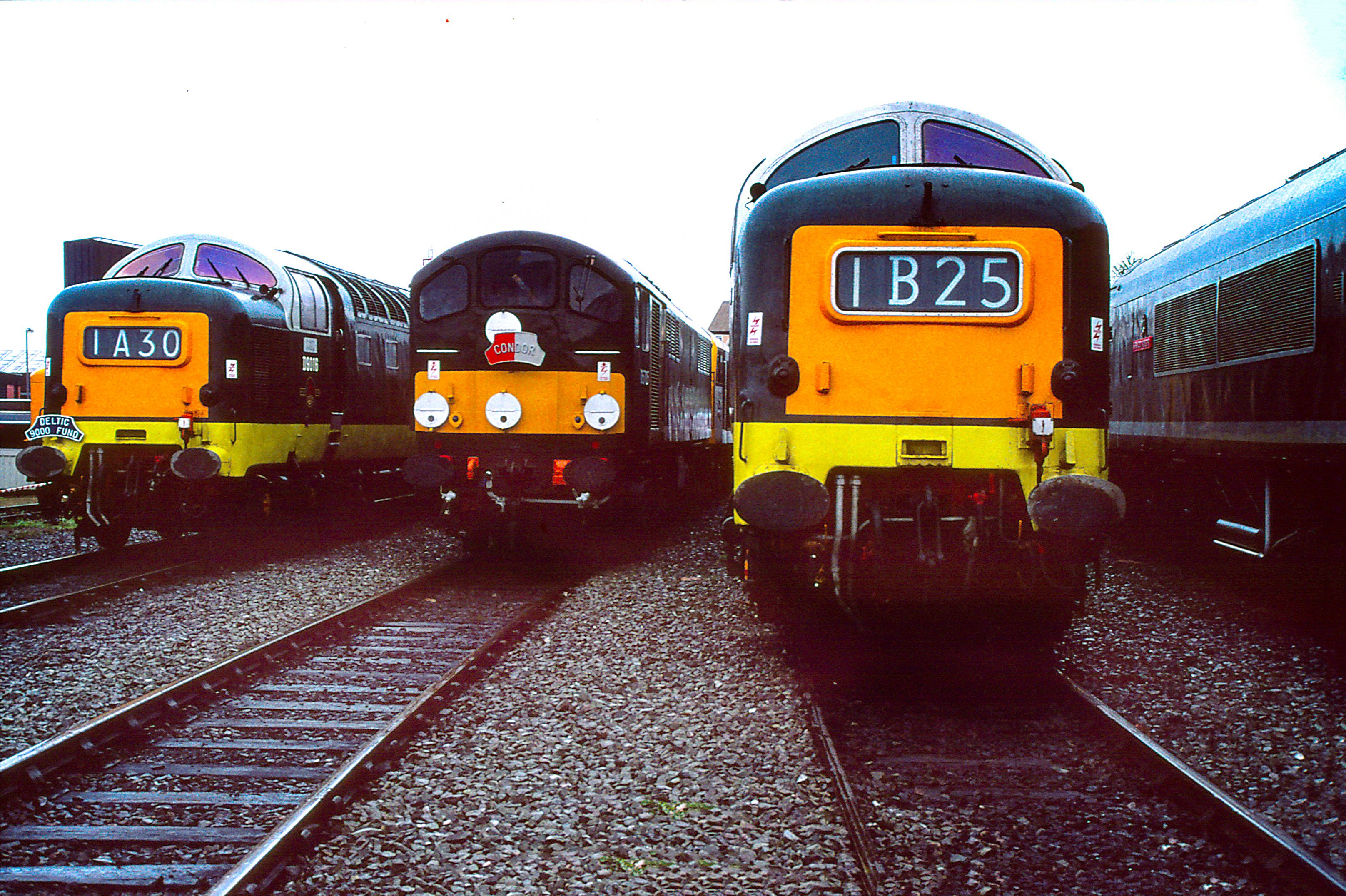 Class 55 by IPHPhotography | Clickasnap