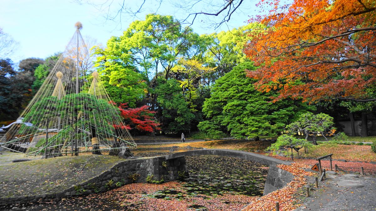 Koishikawa Korakuen inner garden by AXIS | Clickasnap