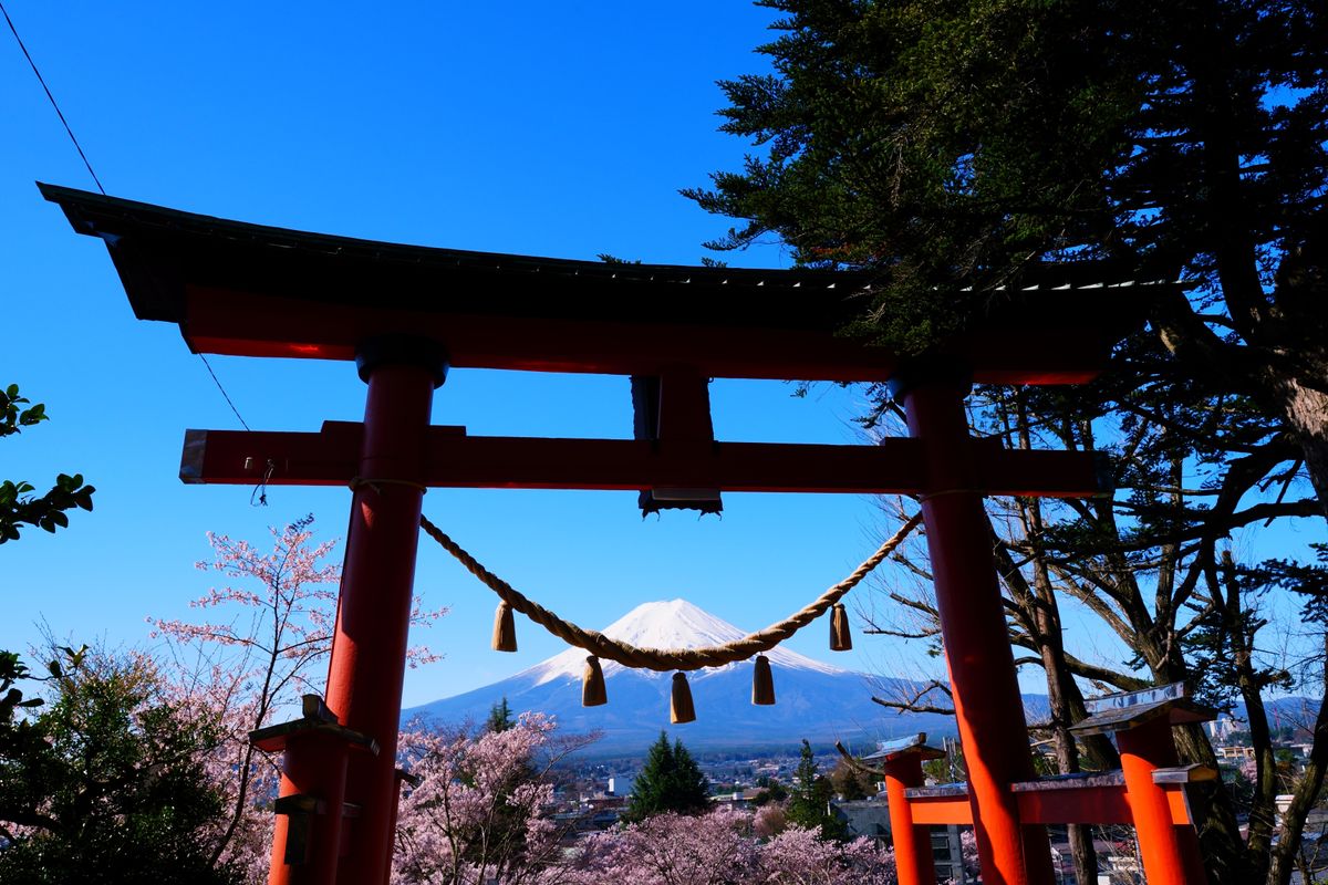 The Soul of Spring in Japan by AXIS | Clickasnap