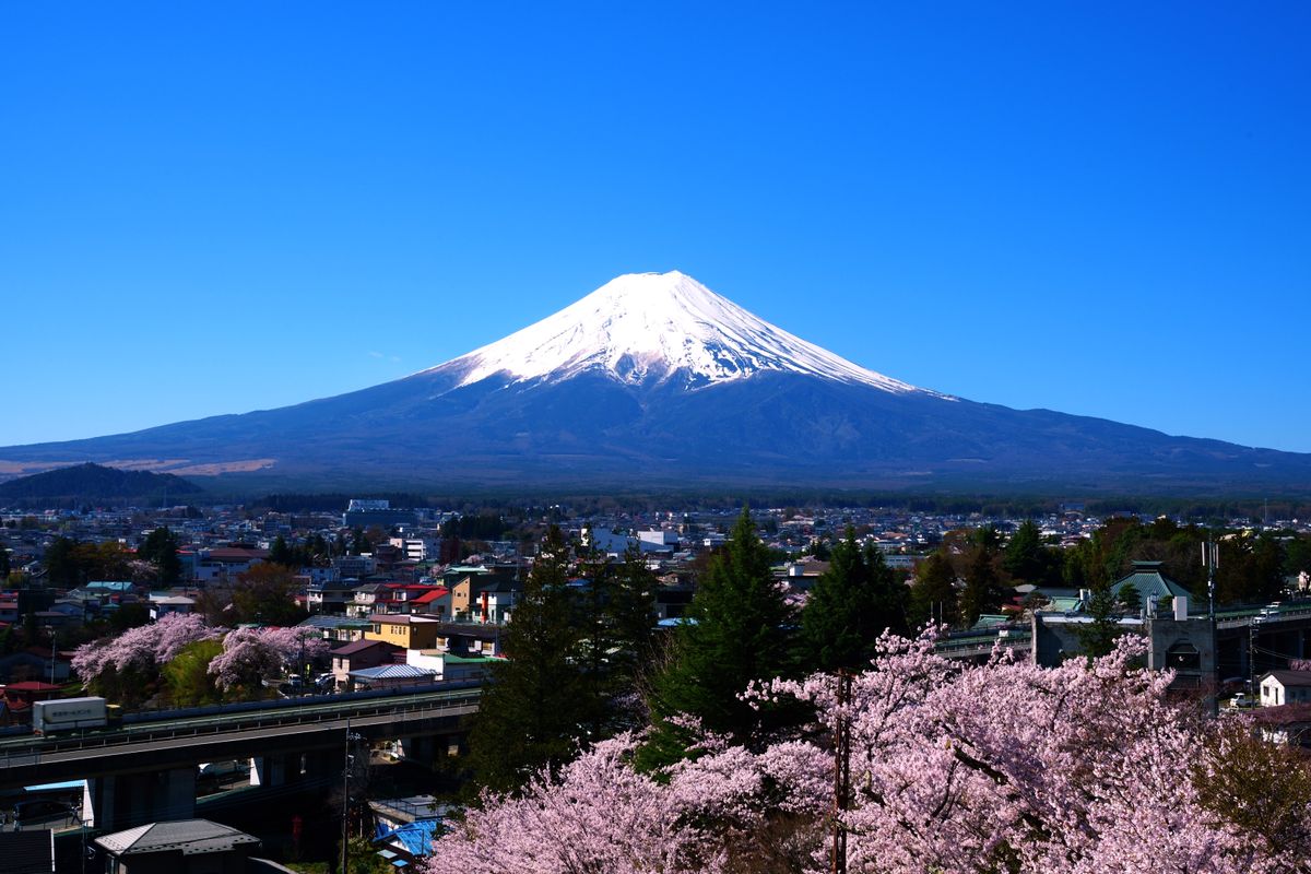 Blue Cool Beauty Japan by AXIS | Clickasnap